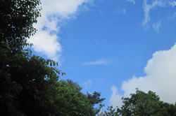 晴れた日はとても空気が澄んでいます。
